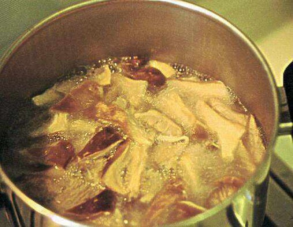 Cardarelli (Pleurotus eryngii) messi a scolare.