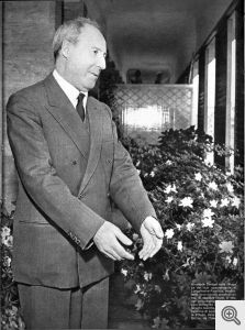 Da Epoca n. 396 del 1958: Giuseppe Saragat