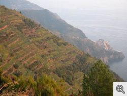 Le Cinque Terre