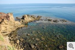 Isola di Ustica