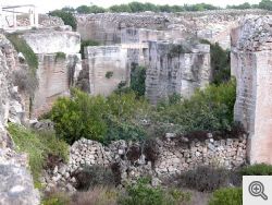 Isole Egadi