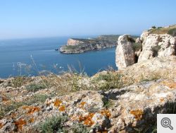 Isole Tremiti