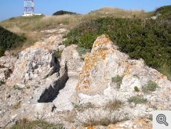 Isole Tremiti