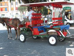 Il Plemmirio - Capo Murro di Porco