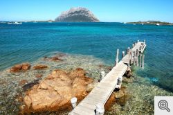 Tavolara Punta Coda Cavallo