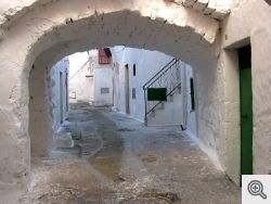 Torre Guaceto