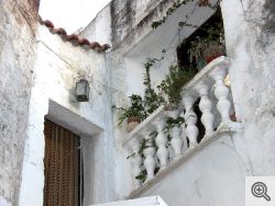 Torre Guaceto