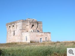 Torre Guaceto