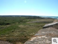 Torre Guaceto