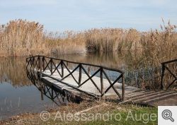 Immagini dell'Oasi del Lago Salso nel comune di Manfredonia