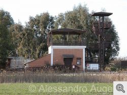 Immagini dell'Oasi del Lago Salso nel comune di Manfredonia