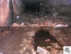 Immagini inedite del Tottente Jana