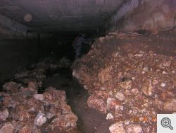 Immagini inedite del Tottente Jana