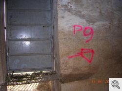 Immagini inedite del Tottente Jana