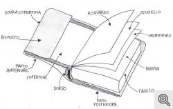 Le parti del libro aperto