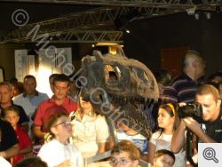 Museo dei dinosauri, a Borgo Celano