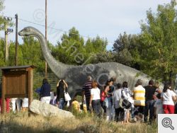 museo dinosauri 2