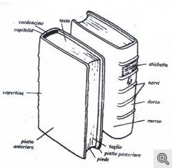 Parti del libro chiuso