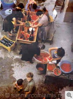 Preparazione casalinga della salsa di pomodoro