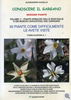 La copertina della pubblicazione.