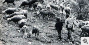 Mezzogiorno - La Sardegna.