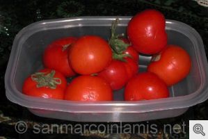 La salsa di pomodoro
