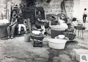 I pomodori vengono lavati