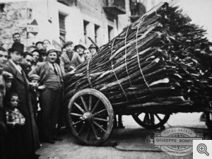 Foto di G. Bonfitto. S. Marco in Lamis: una fracchia