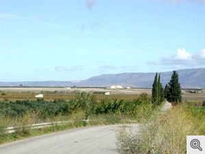 Il massiccio del Gargano visto dalla pianura venendo da nord.