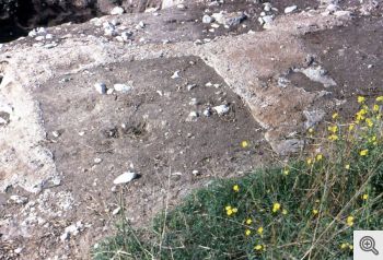 Gargano. Immagine di una necropoli.