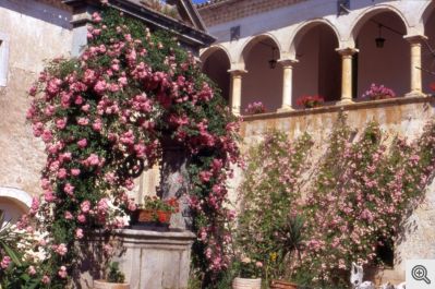 Vecchia foto del chiostro cinquecentesco del Convento di San Matteo a San Marco in Lamis