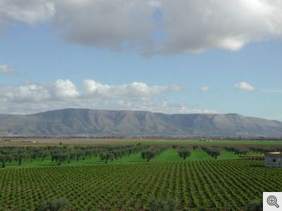 Veduta del promontorio del Gargano dalla piana del Tavoliere.