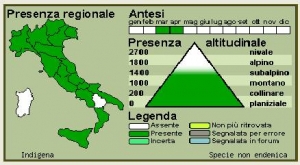 Da actaplantarum.org