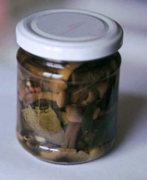 Barattolo di chiodini (Armillariella mellea) sottolio.